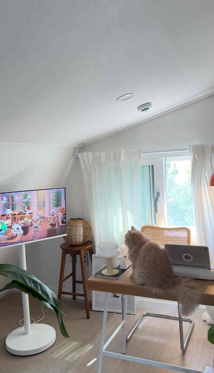 ホワイトと木目調のモダンなホームオフィス空間、デスクに猫が座り、シアーレースカーテンとスマートテレビが配置された温かみのあるインテリア