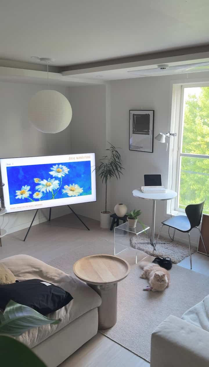 白とベージュの色調のリビング、ソファと木製のサイドテーブル、窓際に配置された小さなホームオフィススペースとペットの猫がいる落ち着いた空間