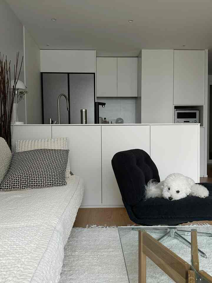 白と黒のトーンでまとめられたリビングと対面式キッチン、ソファとアームチェアが配置され、ペットの犬がゆったりとくつろいでいる印象的な空間