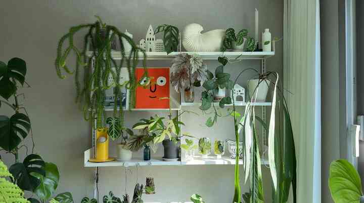 greenticaさんのインテリア実例写真