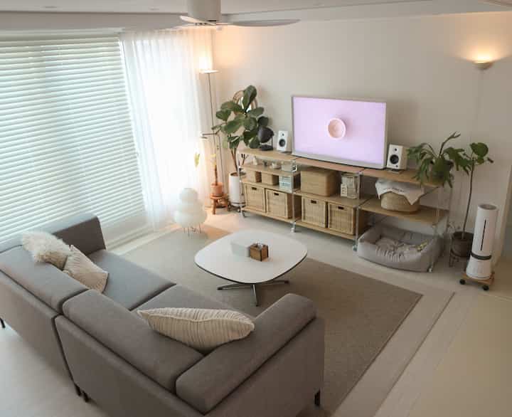 グレーのソファとベージュのサイザル風カーペットが置かれたリビング、ステンレス棚にテレビと植物が配置されたナチュラルモダンなインテリア