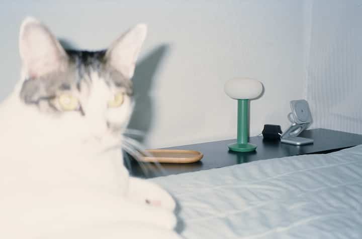 白と黒のトーンの寝室、IKEAのテレビベンチ型ナイトテーブルと青い寝具が配置された猫と暮らす空間