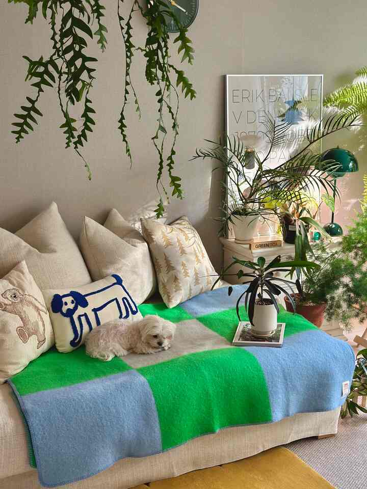 淡いベージュのリビング、ベージュのソファにクッションと犬があり、様々な緑の植物が配置された雰囲気のある空間