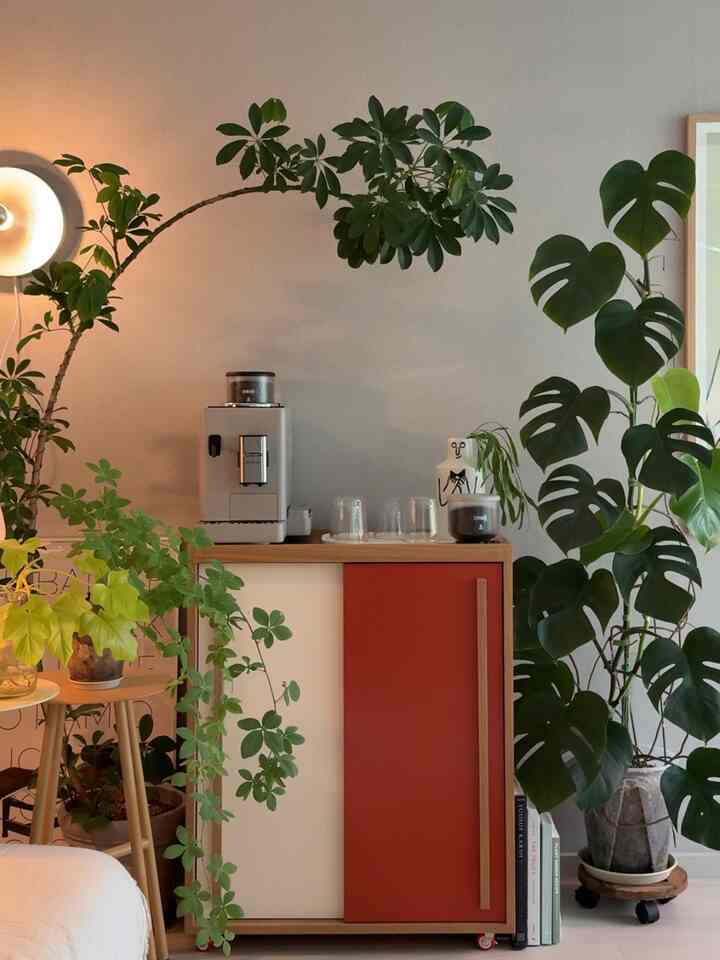 ナチュラルな色調のリビング、コーヒーマシンとキャビネット、多様な植物が配置された温かみのあるインテリア