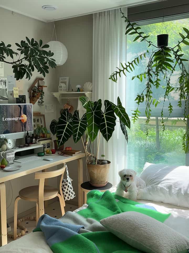 白と緑のトーンが特徴の寝室、大きな植物と小さな犬、ホームオフィスデスクが配置された落ち着いたナチュラルな空間