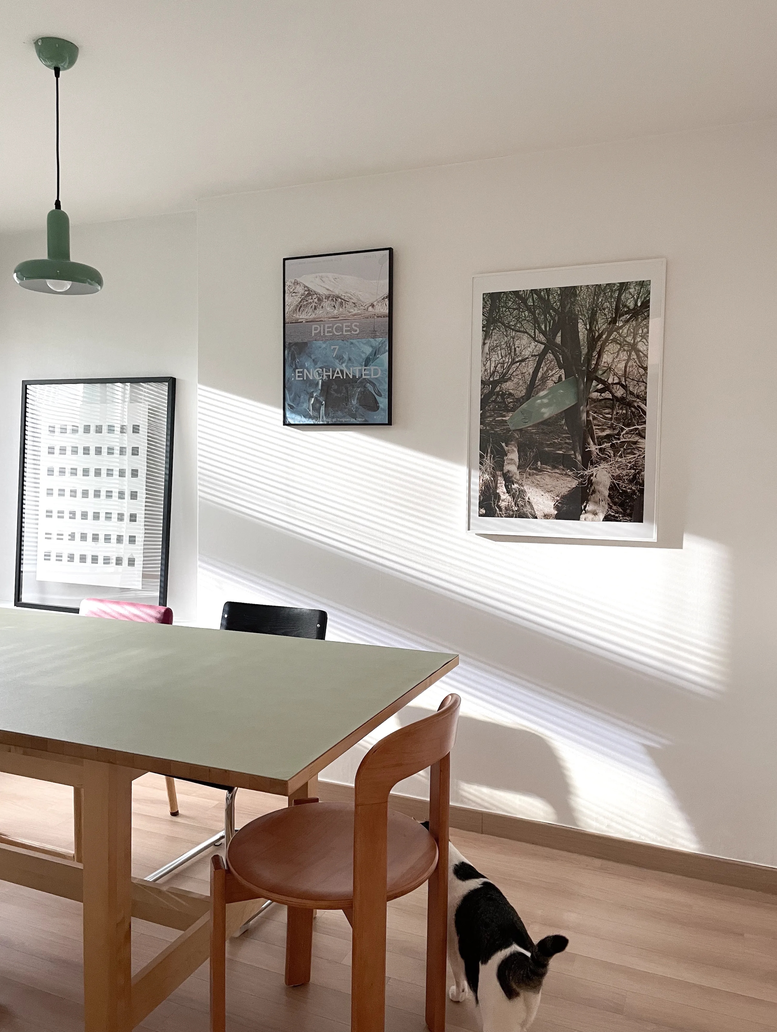 Solid Wood Curve Back Dining Chair user photo