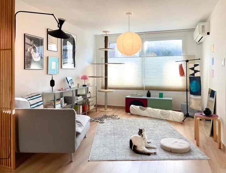 白と茶色の色調のリビング、グレーのソファとキャットタワー、猫とキャットトンネルが配置された落ち着いたインテリア