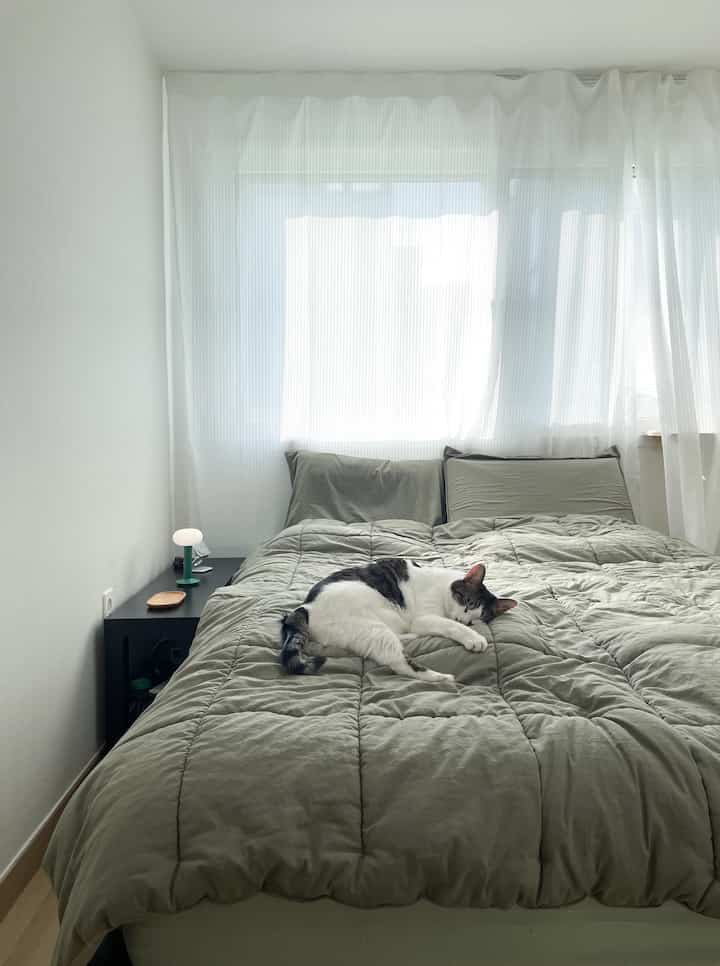 白と緑の色調の寝室、中央にベッドと掛け布団カバーがあり、猫がくつろいでいる雰囲気のあるインテリア