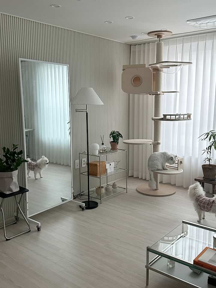 明るいホワイトと木目調のリビング、キャットタワーとペットが配置されたナチュラルモダンなインテリア