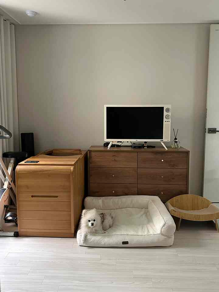 白と茶色のトーンの寝室、茶色い木製収納と白いペットベッドに犬がくつろぐ雰囲気のあるインテリア