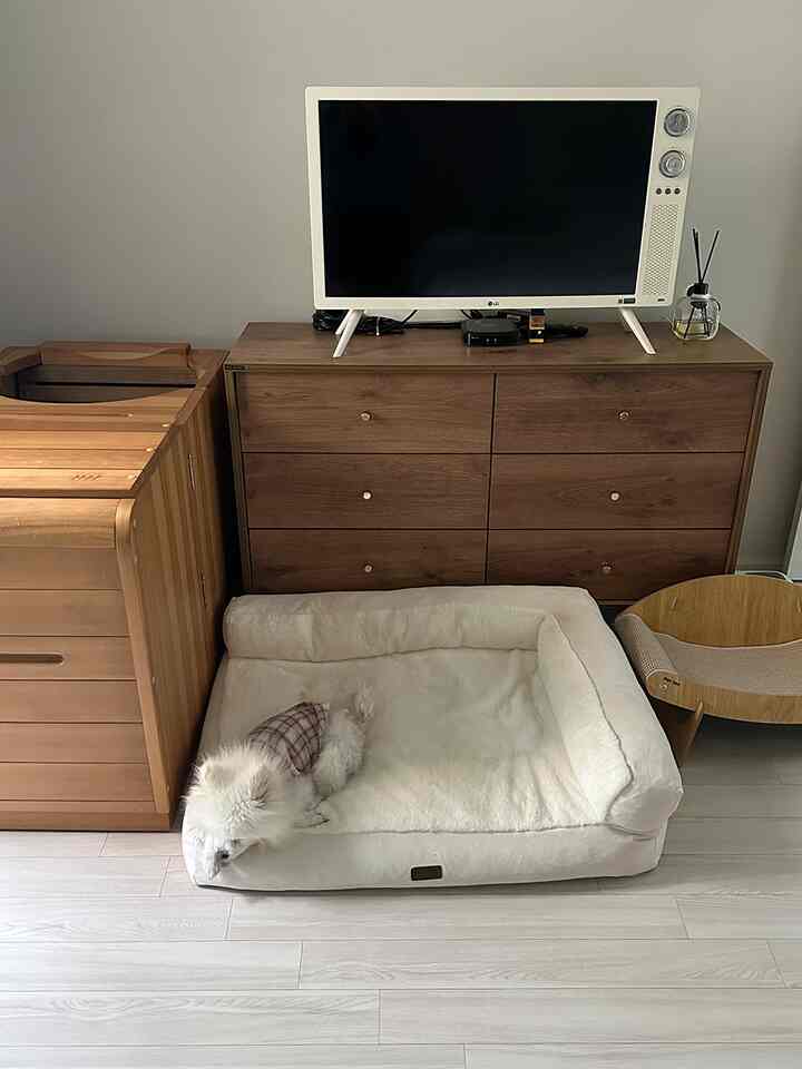 ナチュラルなブラウンとホワイトの寝室、ドレッサーの上にスマートテレビがあり、ペットベッドと犬がある落ち着いた空間