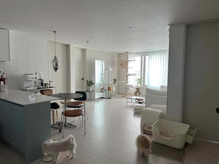 ホワイトとナチュラルトーンのリビングルーム、ソファとキャットタワー、猫トイレ、ペットと暮らす落ち着いた空間