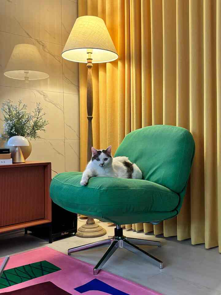 黄色のカーテンとグリーンのアームチェア、フロアランプが配置されたリビングに猫が座っている様子