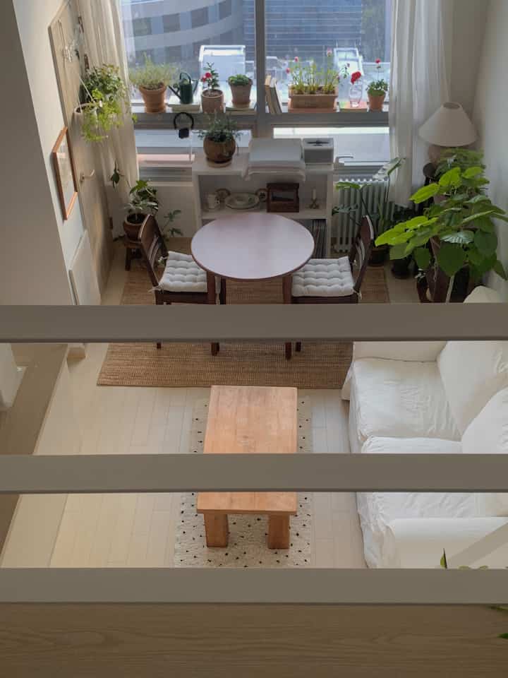 自然な木目調と植物が調和するワンルームのロフトリビング、白いソファと丸いダイニングテーブルが配置された落ち着いた空間