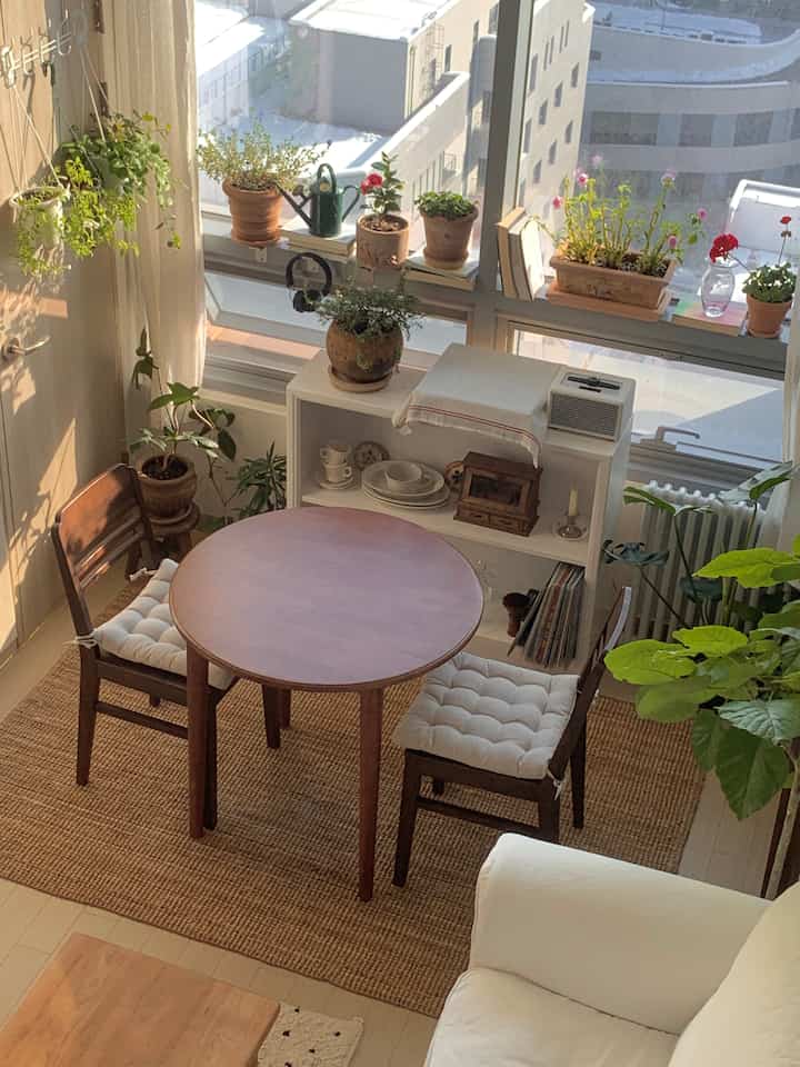 温かみのあるベージュとブラウンの色調のワンルームダイニング、木製のテーブルと植物が調和したナチュラルでヴィンテージ感のあるインテリア