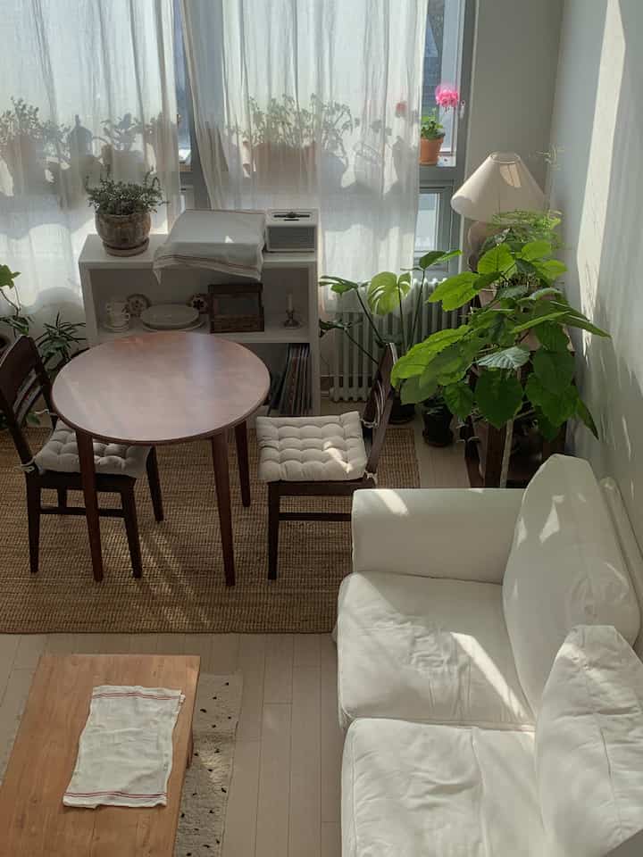 白と茶色のナチュラルトーンのリビング、木製のダイニングテーブルとソファ、多くの植物が配置された日当たりの良い空間