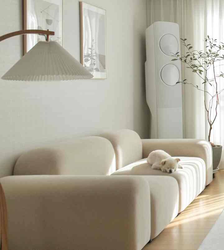アイボリーとベージュの色調のリビング、広いファブリックソファの上で犬がゆったりと休んでいる雰囲気のあるインテリア