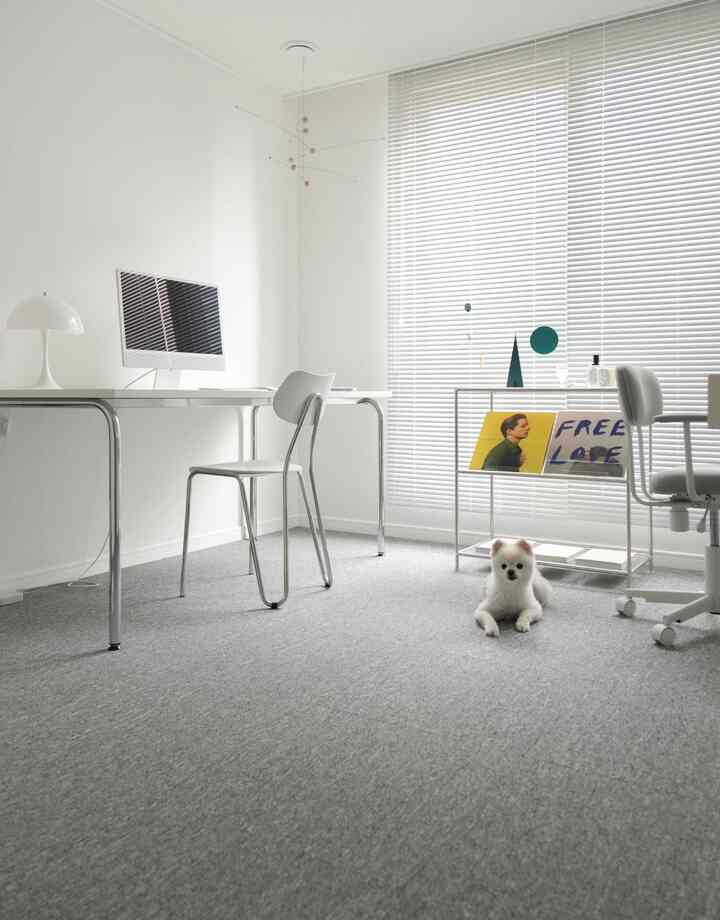 白とシルバーのトーンのホームオフィス、シンプルな家具とペットの犬がいる雰囲気のある空間