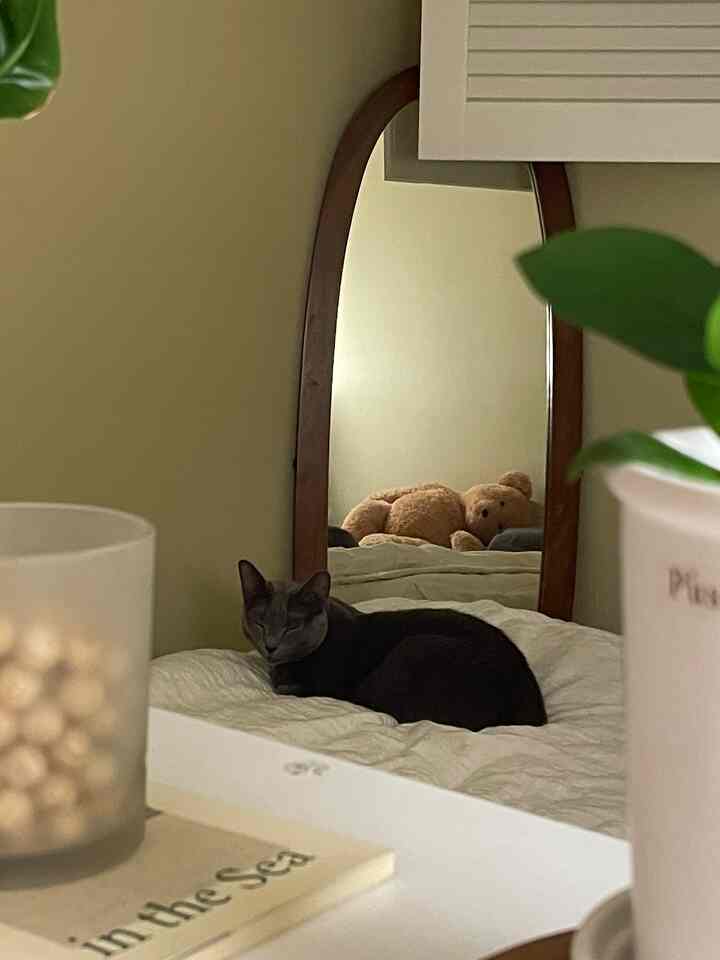 ベージュ色の壁とナチュラルな木枠の鏡がある寝室、ベッドの上に猫とテディベアがいる落ち着いた空間