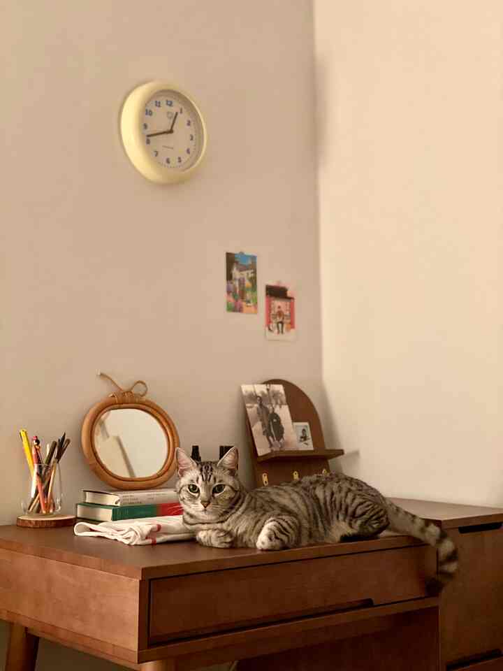 ブラウンの木製デスクと猫がいるナチュラルな色調の部屋、壁にはクリーム色の時計が掛けられた雰囲気のあるインテリア