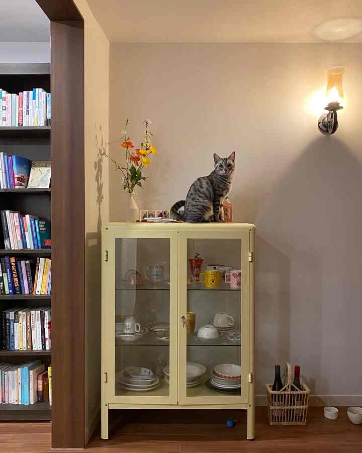 黄色いキャビネットの上に座るグレーの猫がいる、茶色い床と本棚が配置された温かみのあるリビング空間