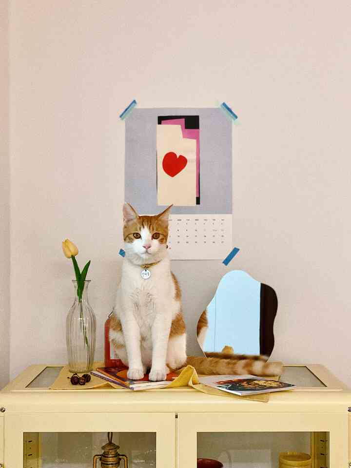 黄色の収納キャビネットが中央にある空間、猫と花瓶が配置されて温かく落ち着いた雰囲気のインテリア
