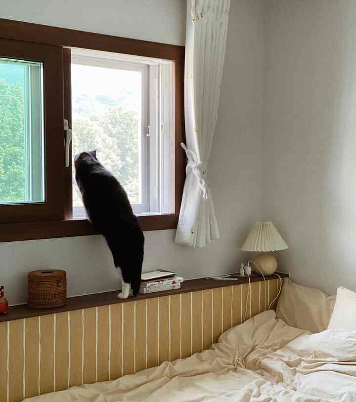 白い壁とベージュの寝具が調和した寝室、窓辺の棚の上に猫がいる雰囲気のある空間