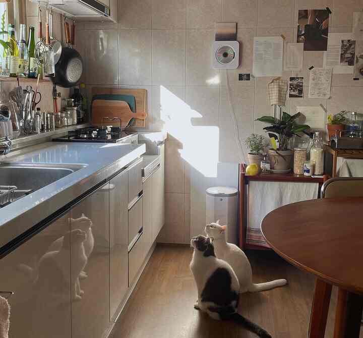 パステルとウッドトーンのキッチン、丸いダイニングテーブルとキッチンワゴンが配置され、2匹の猫が日差しを見つめる温かみのある空間