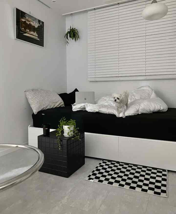 白と黒のトーンのコンパクトな部屋、収納ベッドと犬がいるモダンなインテリア