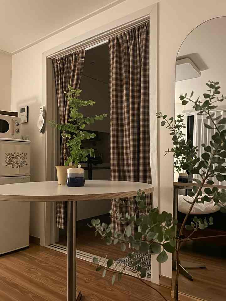 白い壁とブラウンのチェック柄カーテンがあるクローゼット横の全身鏡と植物で飾られた居心地の良いキッチン空間