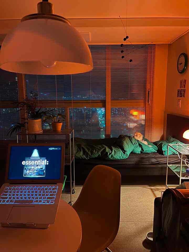 暖かいオレンジ色の照明があるワンルーム、アルミブラインドと黄色いイームズチェア、犬がくつろぐ黒いソファが配置された落ち着いた空間