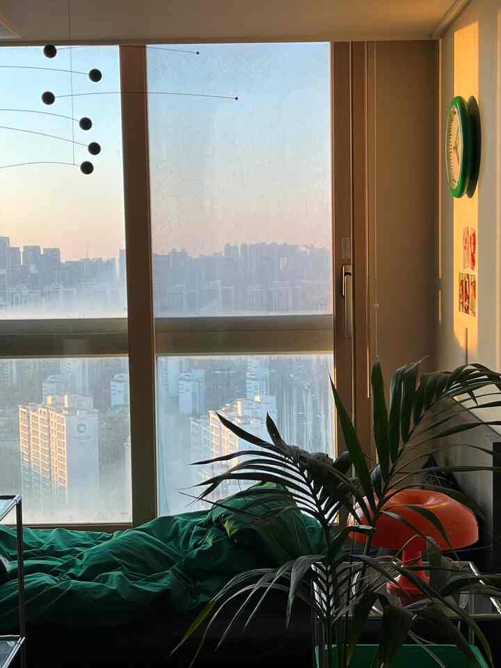 緑の寝具と植物が配置されたモダンな寝室、高い窓とアルミブラインドがある空間