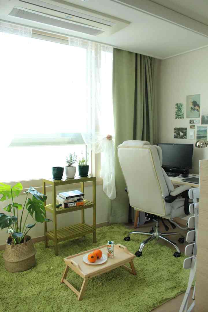 緑のラグと植物が配置されたワンルームのホームオフィス、自然で落ち着いた雰囲気のインテリア