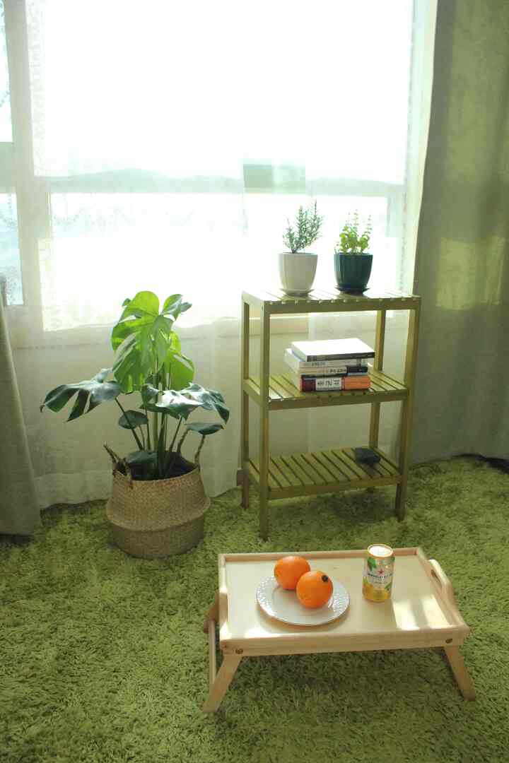 緑の芝生ラグとラタンバスケットの植物、木製トレイが置かれた自然光あふれるワンルームのリビング