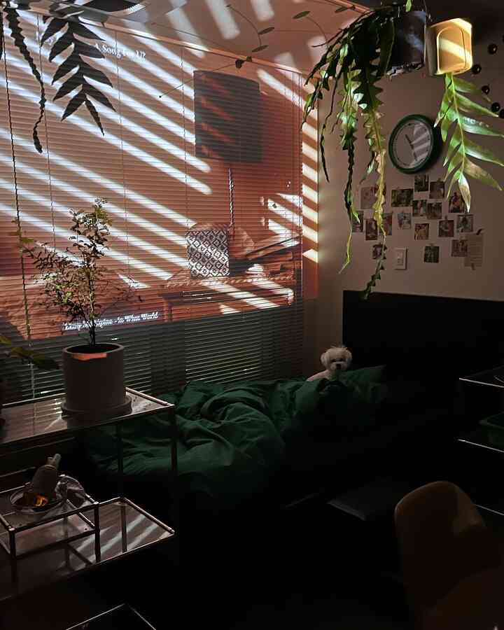 グリーンとブラックの色調のリビング、ソファの上の犬と植物、壁の時計とブラインドが調和した雰囲気のあるインテリア