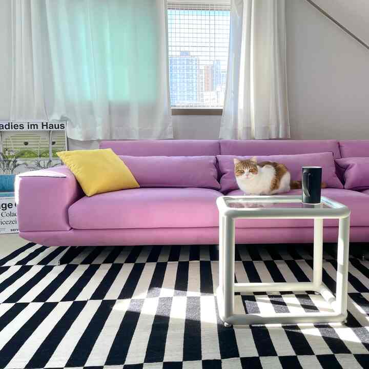 明るいホワイトのリビングルーム、ホットピンクのセクショナルソファの上に猫が座り、ストライプラグとシンプルなガラステーブルが配置されたモダンなインテリア