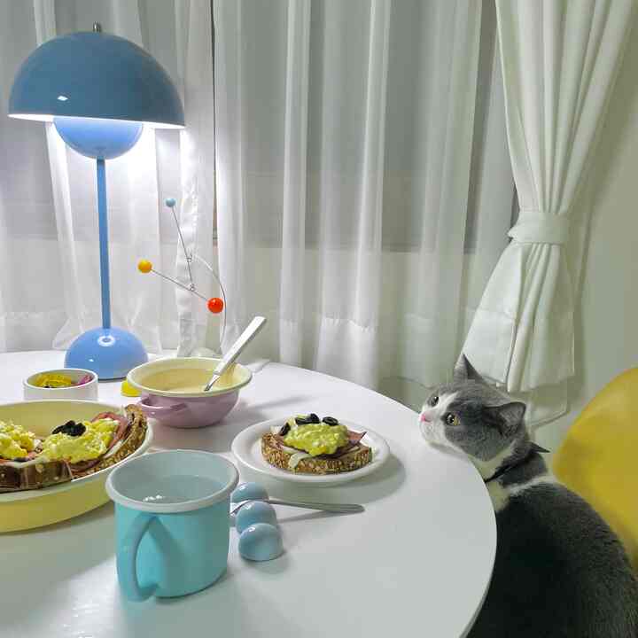 白と黄色のトーンが特徴のダイニングルームで、丸いテーブルには様々な食器と料理が配置され、黄色い椅子に猫が座る雰囲気のあるインテリア