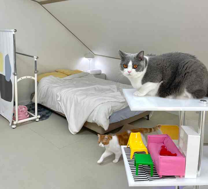 白を基調とした寝室、黄色い枕が置かれたベッドと二匹の猫がいる、温かみのある空間