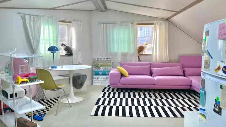 白とピンクの色調のリビング、ピンクのコーナーソファとモノトーンのストライプラグ、窓辺にいる2匹の猫がいる雰囲気のある空間