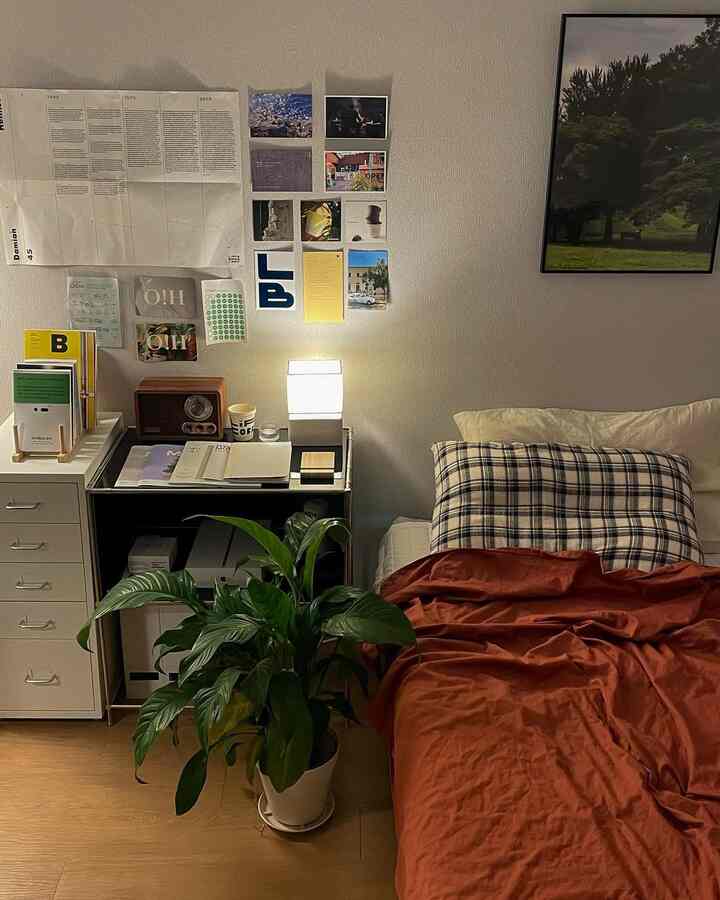 暖かいナチュラルなトーンのワンルーム寝室、木製の床と植物、赤みがかった寝具が配置された雰囲気のある空間