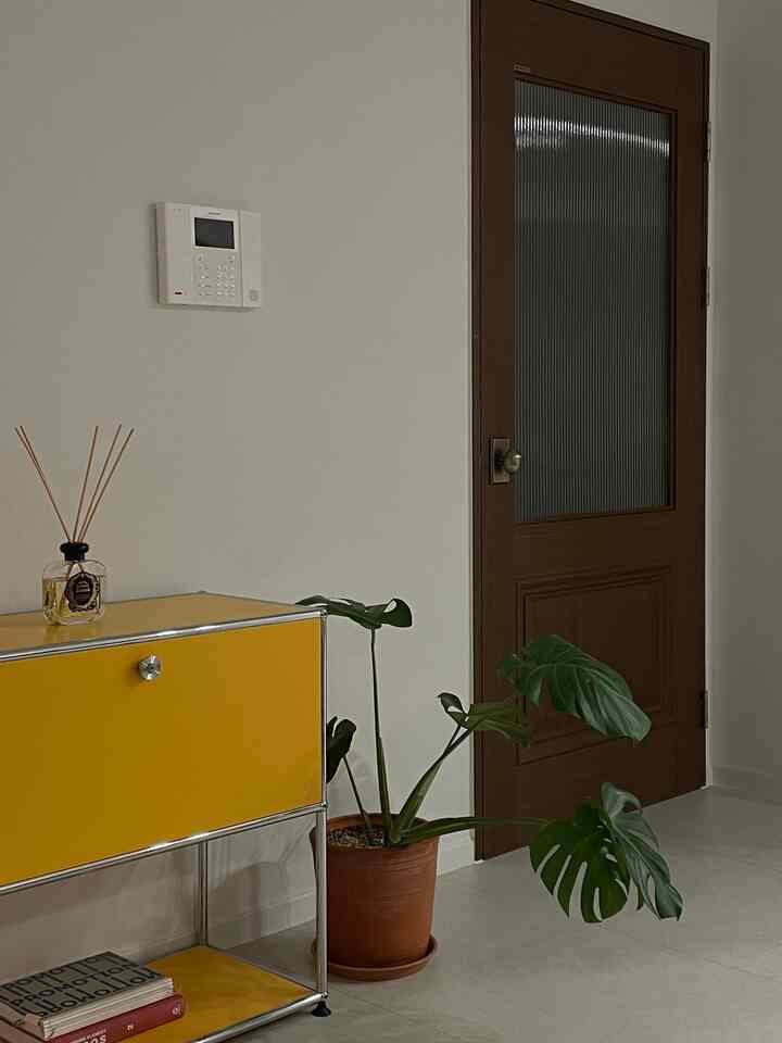 黄色いモジュール収納キャビネットと木目調のドア、モンステラの植物が配置された清潔感のあるリビング