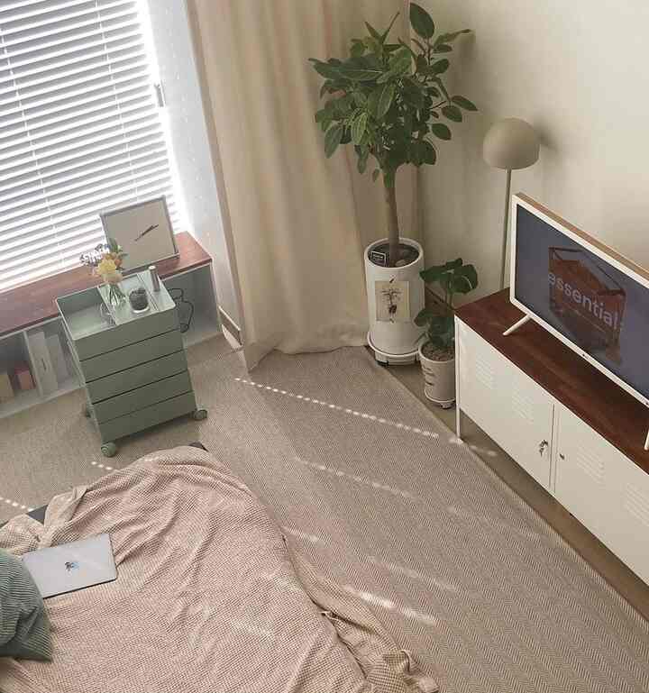 ベージュとナチュラルカラーのリビング、大きなラグとテレビ台、植物が配置された雰囲気のある空間