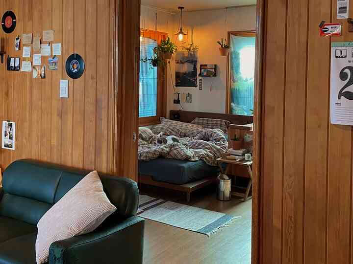 暖かな木目調の壁とネイビーカラーの寝具が配置された居心地の良い寝室、ベッドに猫がいる