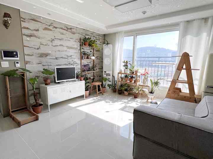 白と木目調のリビング、多数の植物が配置され、猫用キャットタワーが置かれた明るく自然なインテリア