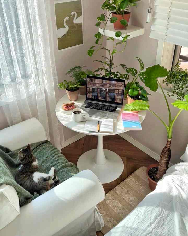白と緑のトーンの小さなダイニングコーナー、コーナーに置かれた円形のダイニングテーブルとアームチェア、猫がいる居心地の良いホームオフィス空間