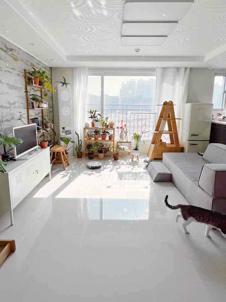 白と木目調の明るいリビング、猫用家具やペットアクセサリーが配された開放的な空間