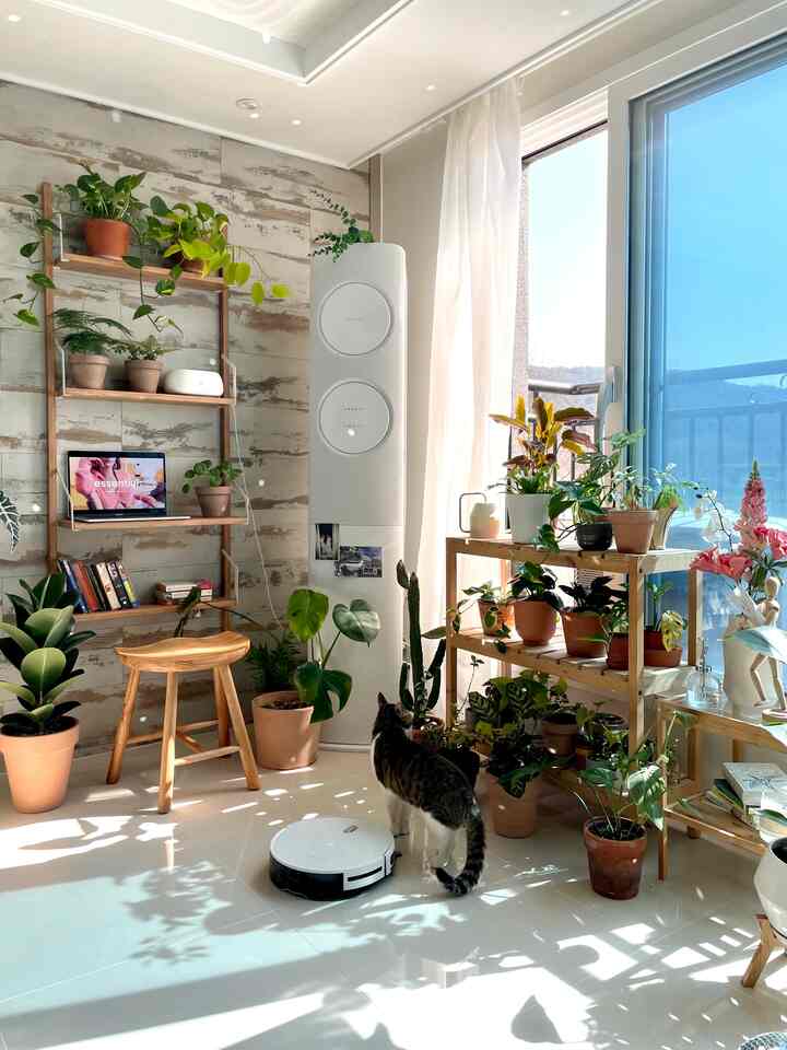 白と木目調が調和したリビングの植物スペース、窓際の3段棚とロボット掃除機、猫がいる居心地の良い空間