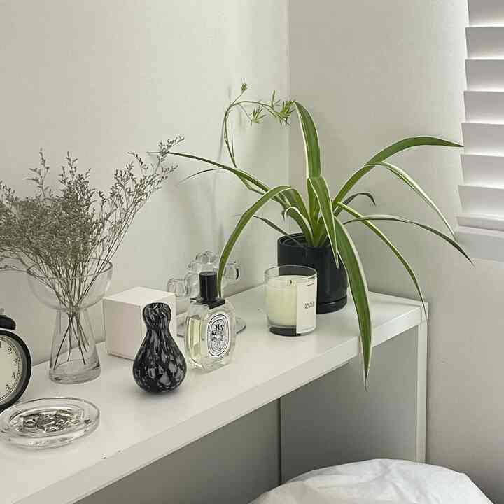 白を基調とした寝室に狭い棚が配置され、植物や小物が置かれた清潔感のあるインテリア