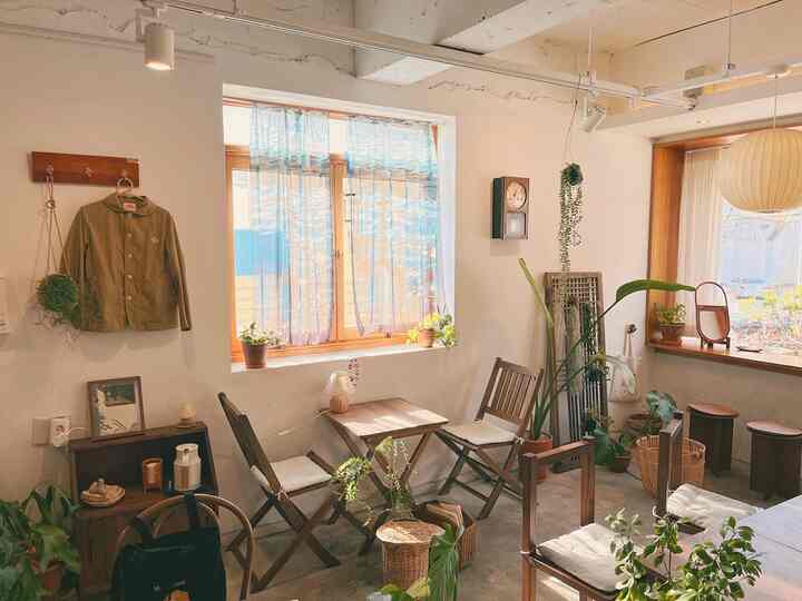 白と木目調が調和した小規模カフェの空間、植物と木製家具が温かみのある雰囲気を演出している