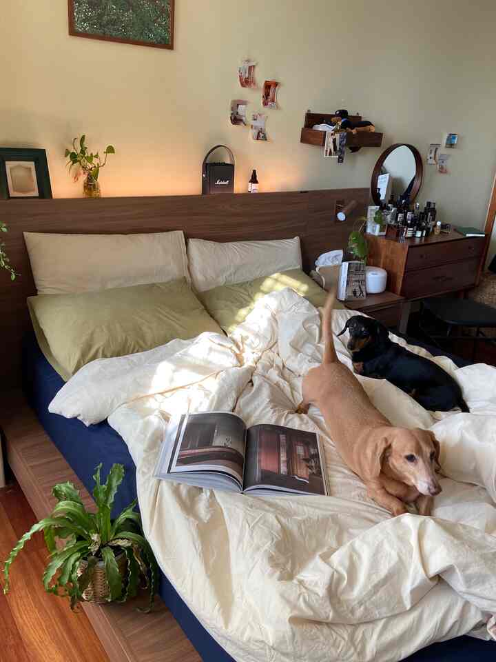 ベージュと木目調が調和した寝室、大きなベッドと二匹の犬がくつろぐ雰囲気のある空間